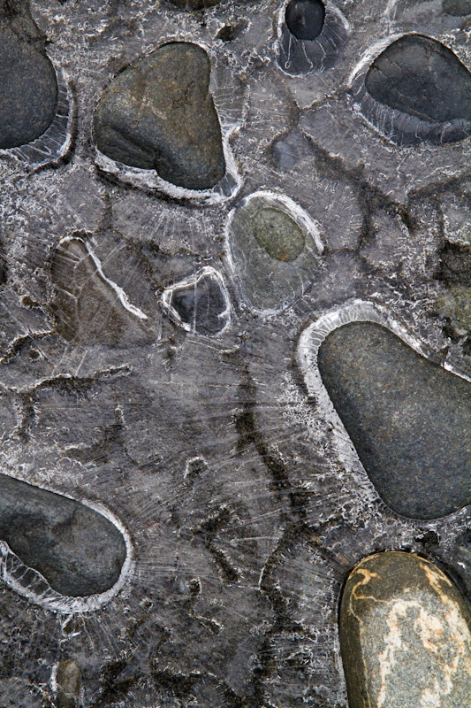 River Rocks Encased In Ice